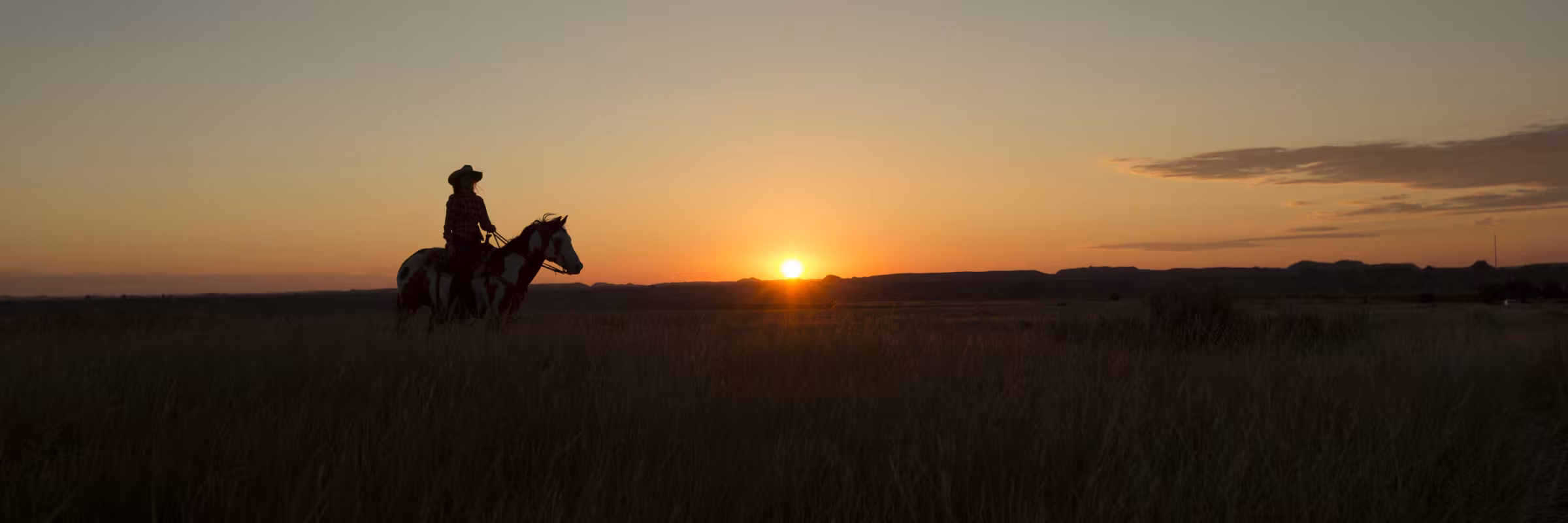 horse and rider silhouette at sunset